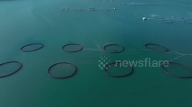 China: Inland Xinjiang emerges as China’s new salmon farming hub