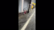 temp