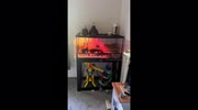 temp