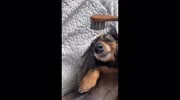 temp