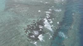 China: China steps up environmental research, protection efforts in South China Sea