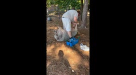 Hank Got a Pedicure Today