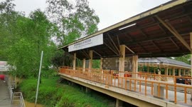 Malaysia: Timun River, the destination for Blue shrimp