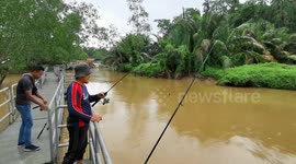 Malaysia: Timun River, the destination for Blue  shrimp, lobster, (Udang Galah Sepit Biru).