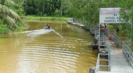 Malaysia: Timun River, the destination for Blue shrimp, lobster, Udang Galah Sepit Biru