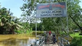 Malaysia: Timun River, the destination for Blue  shrimp, lobster, (Udang Galah Sepit Biru)