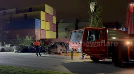 Severe storm topples containers and trees in the Netherlands