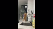 temp