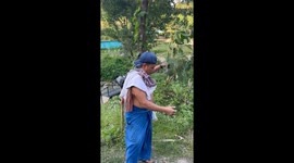 Thai mahout shocks tourists by putting huge orb-weaver spider in his MOUTH