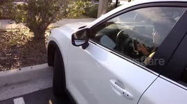 Teen Has License Suspended for Not Having a Prom Date