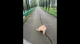 Cracked into a Crack