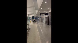 Buffalo Airport Cart Driven Through Moving Sidewalks
