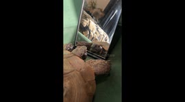 Shelly doing her daily affirmations