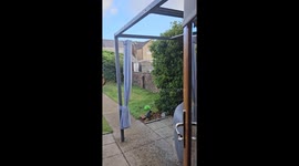 Young seagull mistakes toy fish for real catch in Port Talbot, Wales, UK