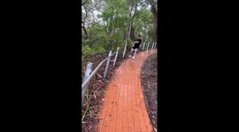 Hiking mishap at Tomaree Mountain in Nelson Bay, Australia