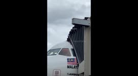 Bee swarm attacks plane as it prepares for takeoff