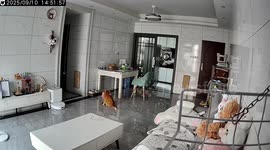 Strong winds move furniture indoors in Guangxi, China