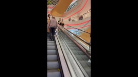 Corgi Loyd charms shoppers on escalator ride — Kyiv video hits 215K views in hours