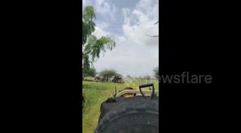 Sudan: Footage shows joint forces in North Kordofan chasing RSF militants around villages near Bara