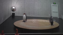 Submerge: Beyond the Render digital art presentation