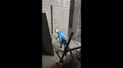 temp