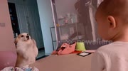 temp