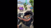 temp