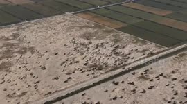 China: Xinjiang transforms desert into farmland with snowmelt irrigation
