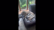 temp