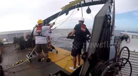 Puerto Rico: Listening To Love: How Grouper Grunts Reveal Spawning Secrets