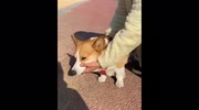 temp