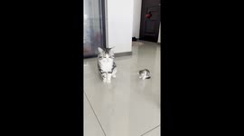 “Vater und Sohn”