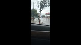 Startled and Stunned: You Want Know My Secret?