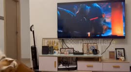 Fighting Intimation in Reality