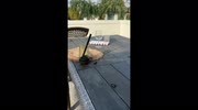 temp