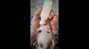 temp