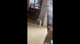 Caught on Camera! My Wife's Secret Life on My Day Off (Funny)