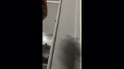 temp