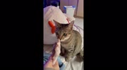 temp