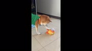 temp