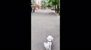 temp