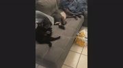 temp
