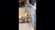 temp