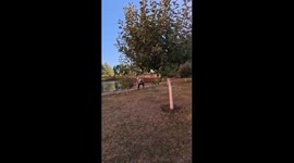 Firefighter survives close Geran-3 drone attack at oil depot in Chernihiv, Ukraine