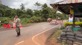 Jumbo fighters! Elephants 'on patrol' as they join Thai soldiers along border