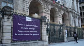 Palestinian flag raised over Lyon town hall despite French ban