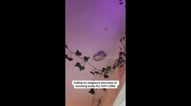 TikTok user tapes headphones and blasts Fergie’s anthem to annoy noisy neighbours, hits 4.6M views