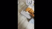 temp