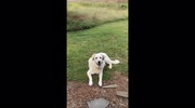 temp