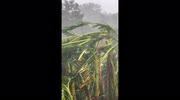 temp